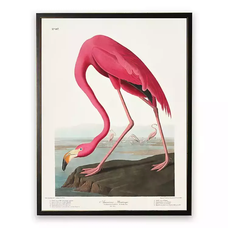 Kirklands Home Vintage Flamingo Bookplate Framed Art Print New