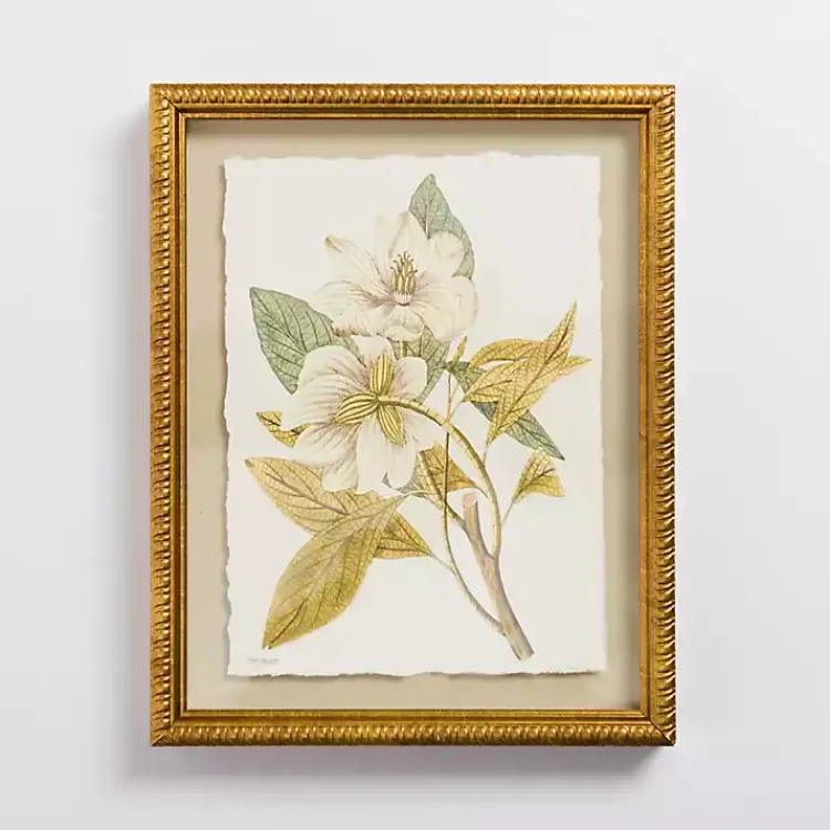 Kirklands Home Vintage Floral Gold Framed Art Print White Clearance