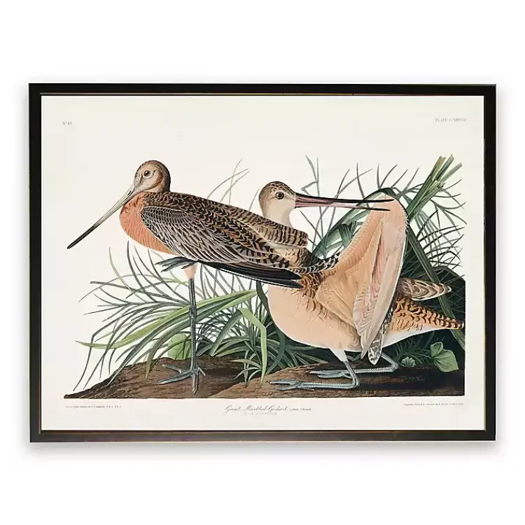 Kirklands Home Vintage Great Marbled Godwit Framed Art Print Sale