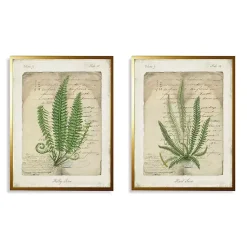 Kirklands Home Vintage Green Ferns Framed Art Prints, Set of 2 Outlet