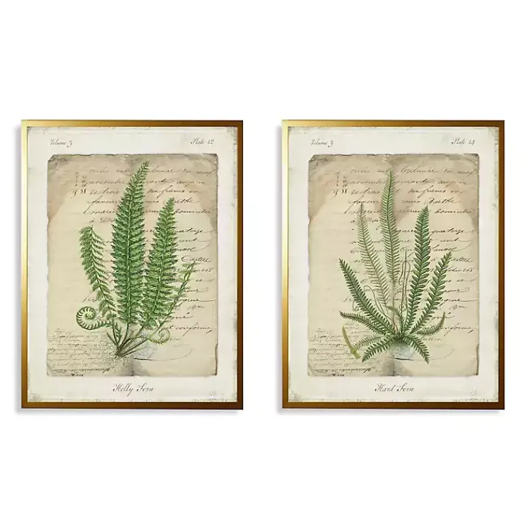 Kirklands Home Vintage Green Ferns Framed Art Prints, Set of 2 Outlet