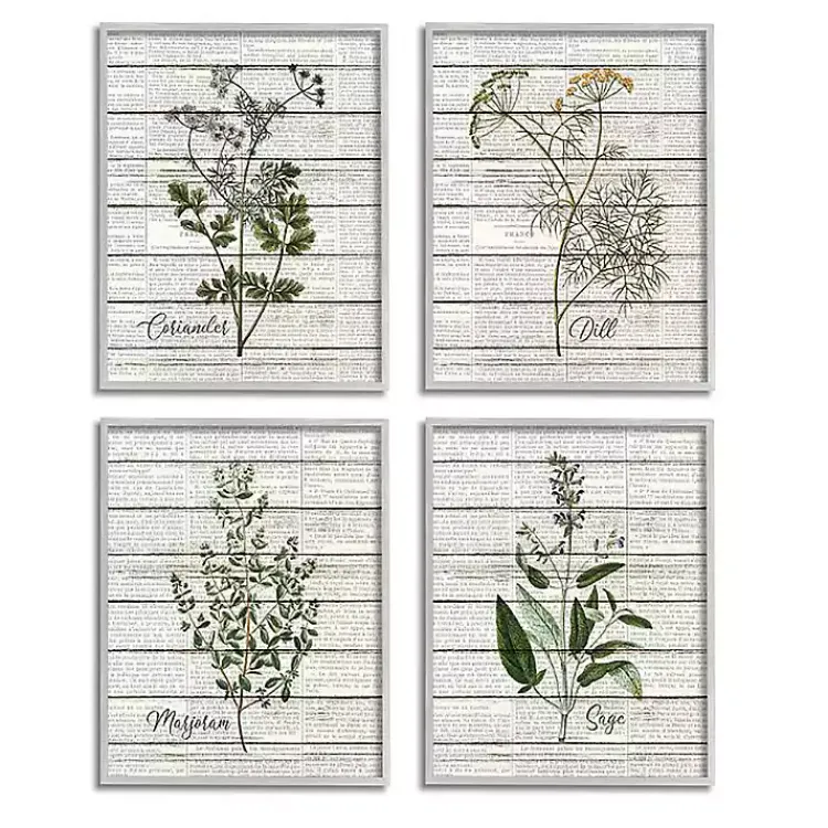Kirklands Home Vintage Herbs Framed Art Prints, Set of 4 Ivory Outlet