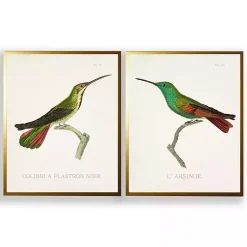 Kirklands Home Vintage Hummingbird I 2-pc. Framed Art Print Set New