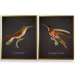 Kirklands Home Vintage Hummingbird III 2-pc. Framed Art Print Set Best