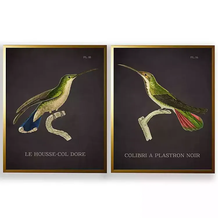 Kirklands Home Vintage Hummingbird IV 2-pc. Framed Art Print Set Clearance
