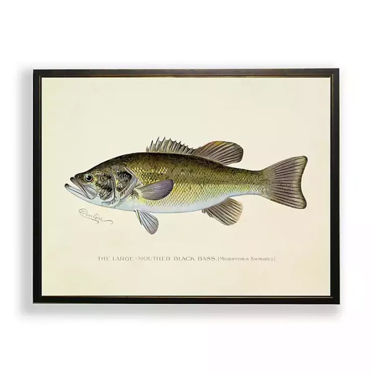 Kirklands Home Vintage Large Mouthed Bass Framed Art Print