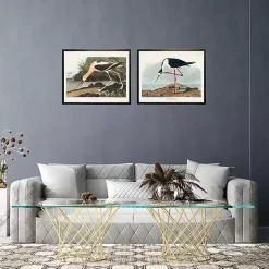 Kirklands Home Vintage Long Legged Avocet Framed Art Print Hot