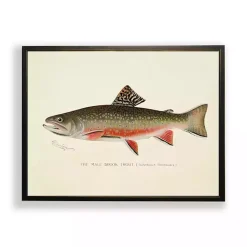 Kirklands Home Vintage Male Book Trout Framed Art Print New