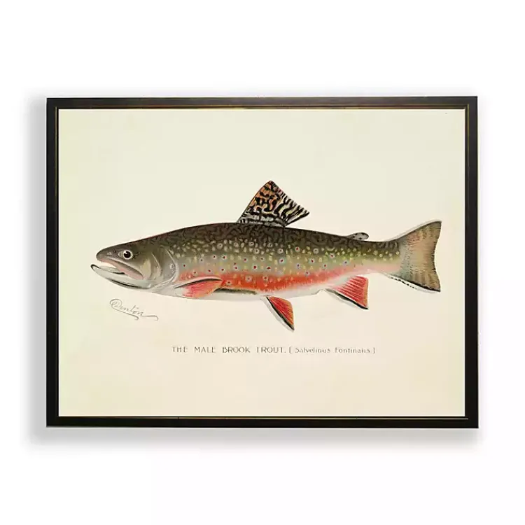 Kirklands Home Vintage Male Book Trout Framed Art Print New