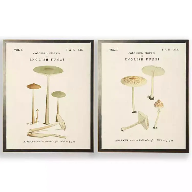 Kirklands Home Vintage Mushrooms I Framed Art Prints, Set of 2 Outlet