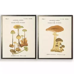 Kirklands Home Vintage Mushrooms II Framed Art Prints, Set of 2 Online