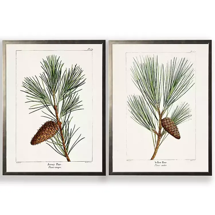 Kirklands Home Vintage Pine Leaves Framed Art Prints, Set of 2 Hot