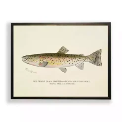 Kirklands Home Vintage Rocky Mountain Trout Framed Art Print Outlet