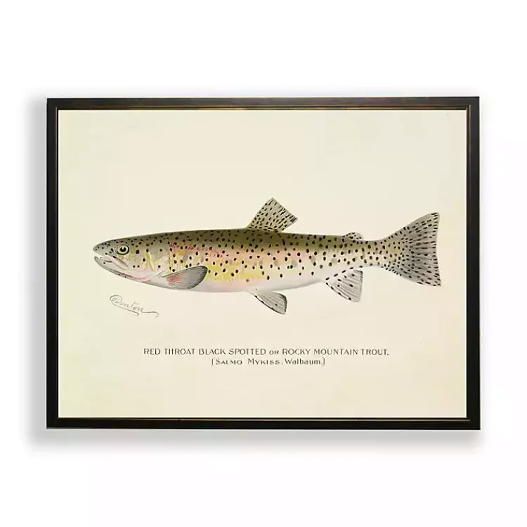 Kirklands Home Vintage Rocky Mountain Trout Framed Art Print Outlet
