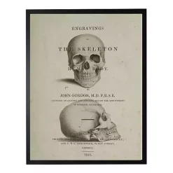 Halloween>Kirklands Home Vintage Skull Framed Halloween Wall Art