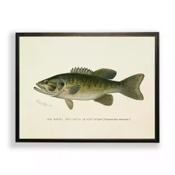 Kirklands Home Vintage Small Mouthed Bass Framed Art Print Hot