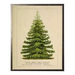 Christmas Art & Wall Decor>Kirklands Home Vintage Spruce Tree Framed Art Print