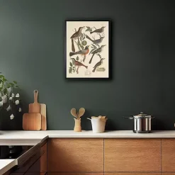 Kirklands Home Vintage Thrush Birds Framed Art Print New