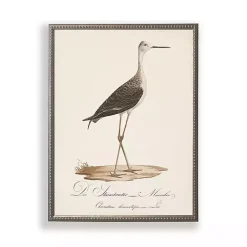 Kirklands Home Vintage Waterbird Facing Right Framed Art Print Clearance