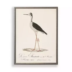Kirklands Home Vintage Waterbird Facing Left Framed Art Print Discount