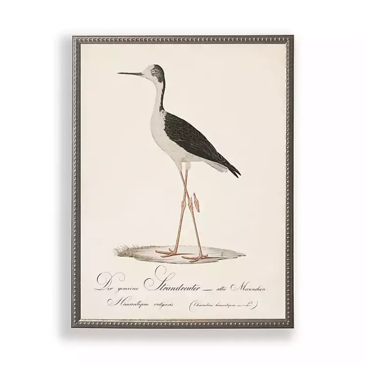 Kirklands Home Vintage Waterbird Facing Left Framed Art Print Discount