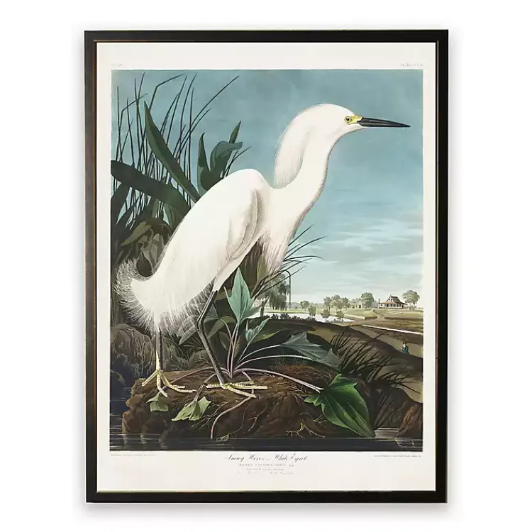 Kirklands Home Vintage White Egret Bookplate Framed Art Print Best