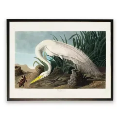 Kirklands Home Vintage White Heron With Lizard Framed Art Print Online