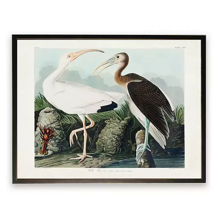 Kirklands Home Vintage White Ibis Pair Framed Art Print Online