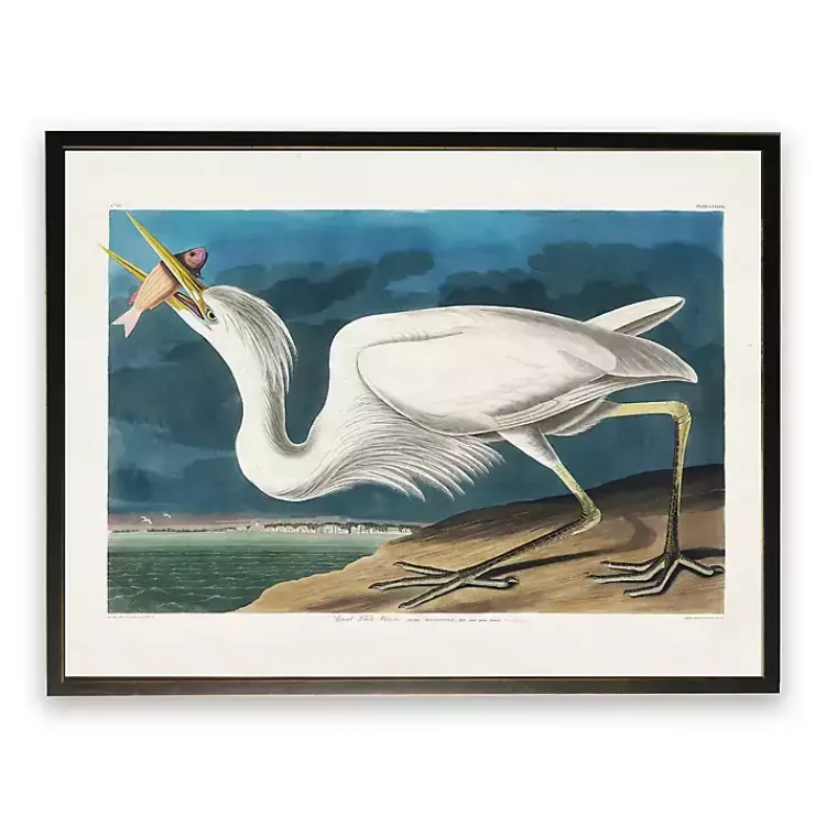 Kirklands Home Vintage White Pelican With Fish Framed Art Print Online