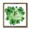 St Patricks Day Decorations>Kirklands Home Watercolor Clover Personalized Framed Wall Plaque