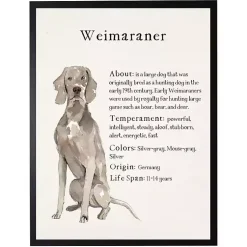 Kirklands Home Weimaraner Facts Framed Wall Plaque Outlet