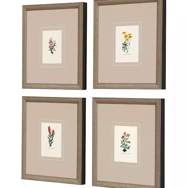 Kirklands Home Western Wildflower Framed Art Prints, Set of Clearance