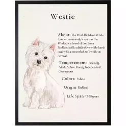 Kirklands Home Westie Facts Framed Wall Plaque New