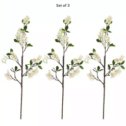 Stems & Bouquets><noscript><img width=