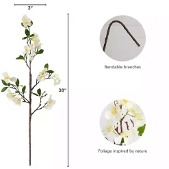 Stems & Bouquets><noscript><img width=
