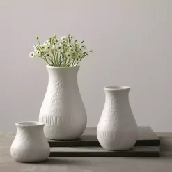 Vases><noscript><img width=