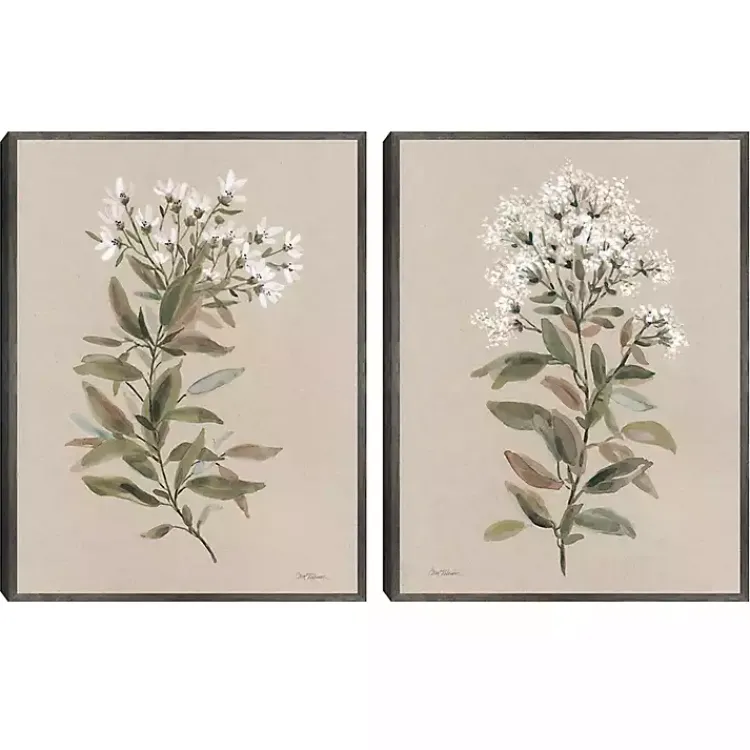 Kirklands Home White Floral Stems Framed Canvas Prints, Set of 2 New
