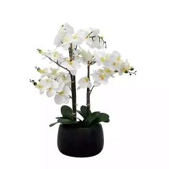 Arrangements & Greenery>Kirklands Home White Real Touch Orchid Arrangement in Black Pot