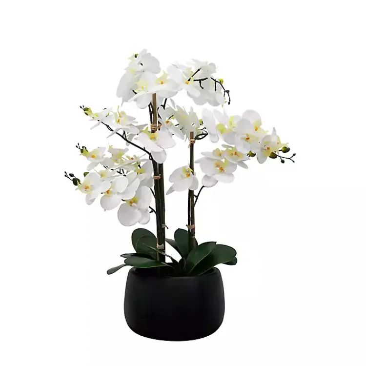 Arrangements & Greenery>Kirklands Home White Real Touch Orchid Arrangement in Black Pot