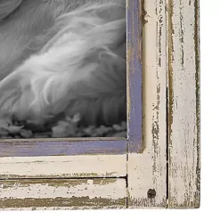 Picture Frames>Kirklands Home White Rustic Wooden Photo Frame, 8x10