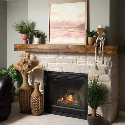 Decorative Accents><noscript><img width=