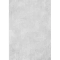 Kirklands Home Whitlow Shag Washable Area Rug, 6x9 Silver Sale