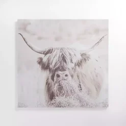 Kirklands Home Wild Highland Cow Canvas Art Print Online