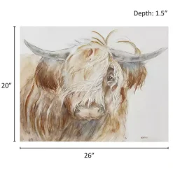 Kirklands Home Windswept Highland Bull Canvas Art Print New