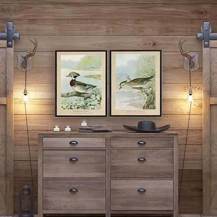 Kirklands Home Wood Duck Duo Framed Art Prints, Set of 2