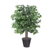 Trees & Topiaries>Kirklands Home Wood Trunk Ficus Bush in Rattan Basket