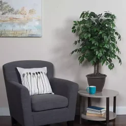Trees & Topiaries>Kirklands Home Wood Trunk Ficus Bush in Rattan Basket