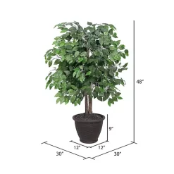 Trees & Topiaries><noscript><img width=