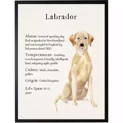 Kirklands Home Yellow Labrador Facts Framed Wall Plaque Best