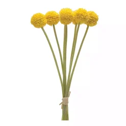 Stems & Bouquets>Kirklands Home Pod Sprays, Set of 6 Yellow